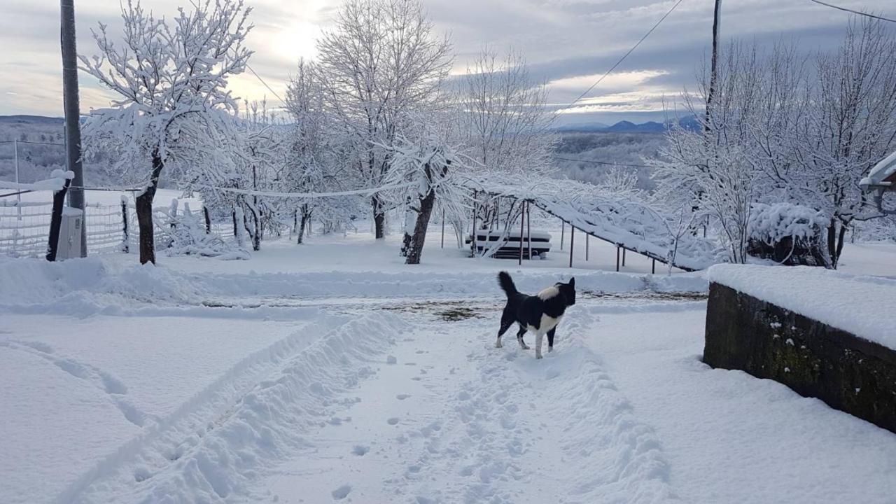 House Luna Rakovica Kültér fotó